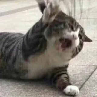 😭