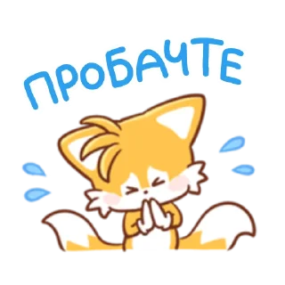 🙏