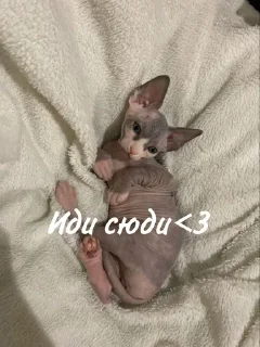 😘