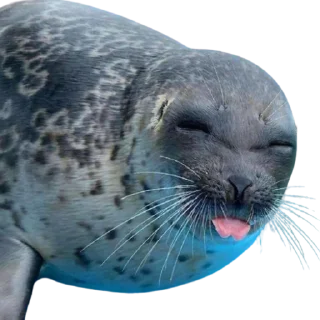 😝