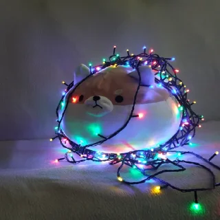 🎄