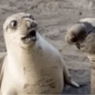 😳