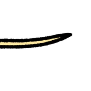 ⭐