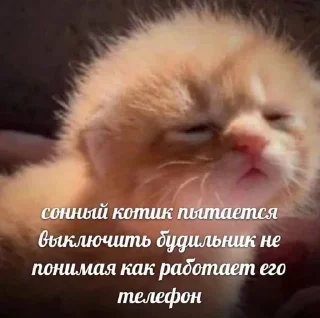 🥲