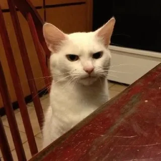 😡