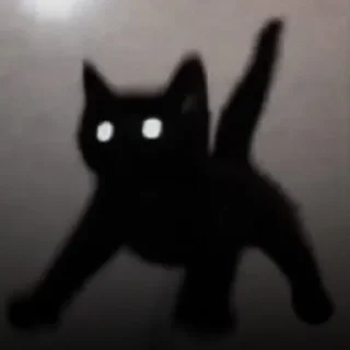 🐈‍⬛