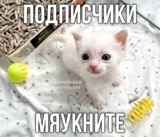 🤩