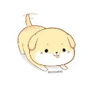 🐶