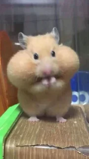 👍