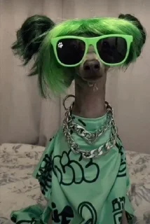 🕶️