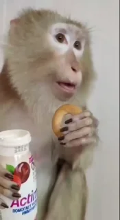 😨