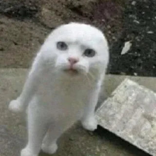 🤯