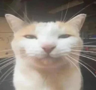 😐