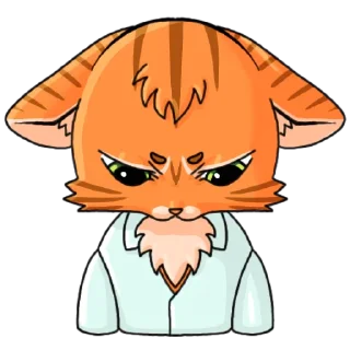 😾