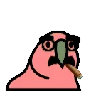🦜