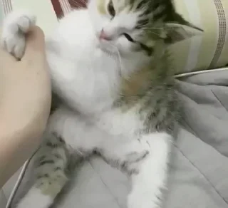 😚