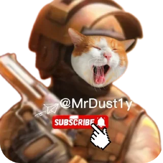 🐱