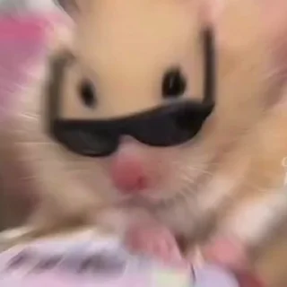 😎