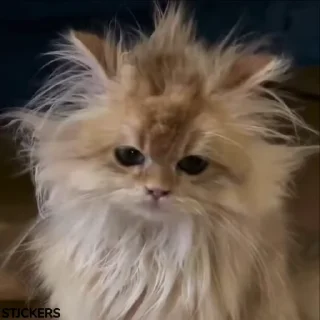 😖