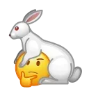 🐇