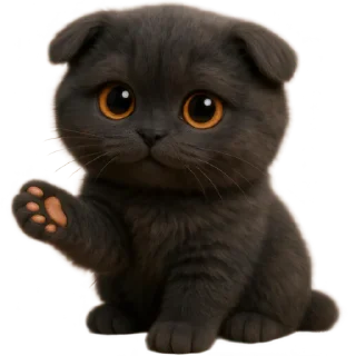 Котик Нонг-Дум @Nyasticks