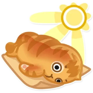 ☀️