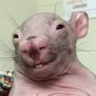 😁