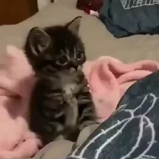 💕