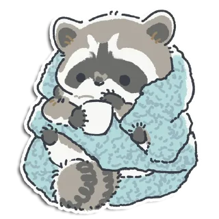 🦝
