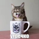 ☕️