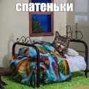 😴