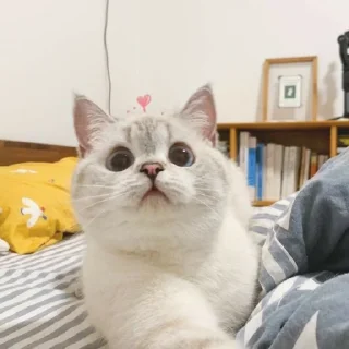 😐