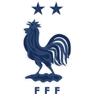 🇫🇷