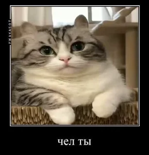 😄