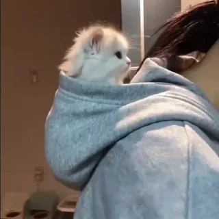 💗