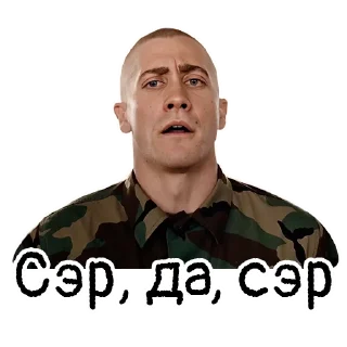 🫡