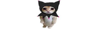 🐈