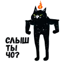 Кот Головорез