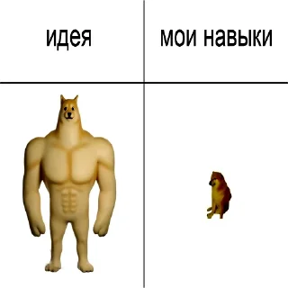 🐶