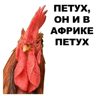 ✍️