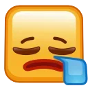 😪