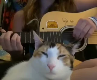 😴