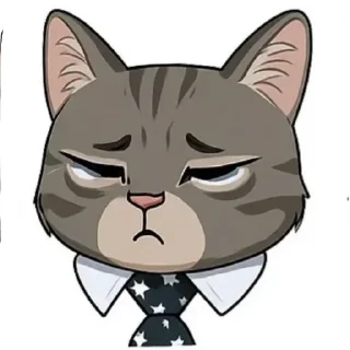 🐱