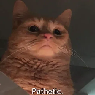 🤨