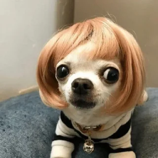😳