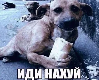 😘