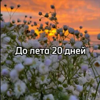 ☀️