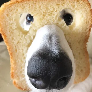 🍞