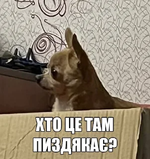🤨