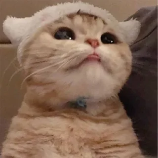 👅